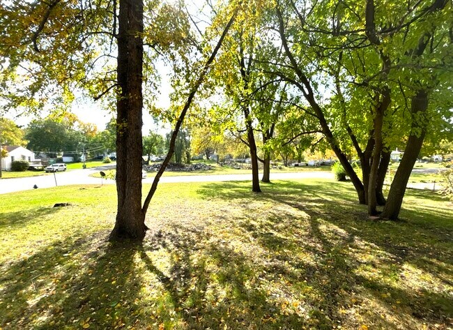 Front Yard - 605 Peek St