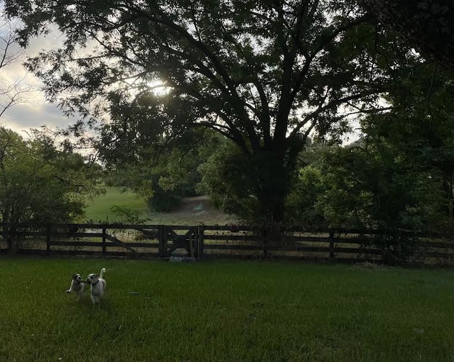 Foto del edificio - 14757 County Rd 1125