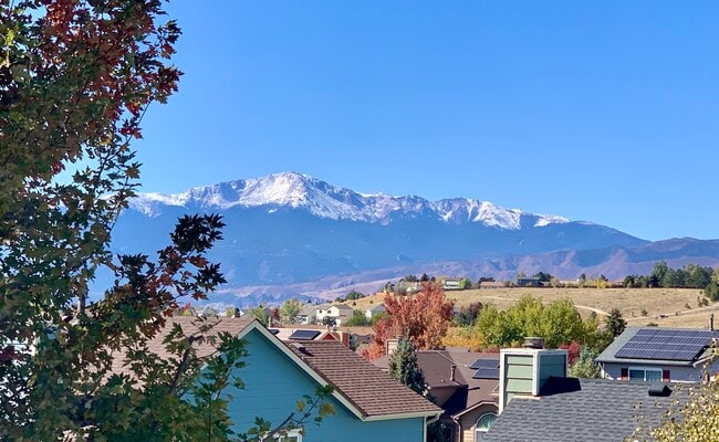 Views from the back of the house - 8070 Interlaken Dr