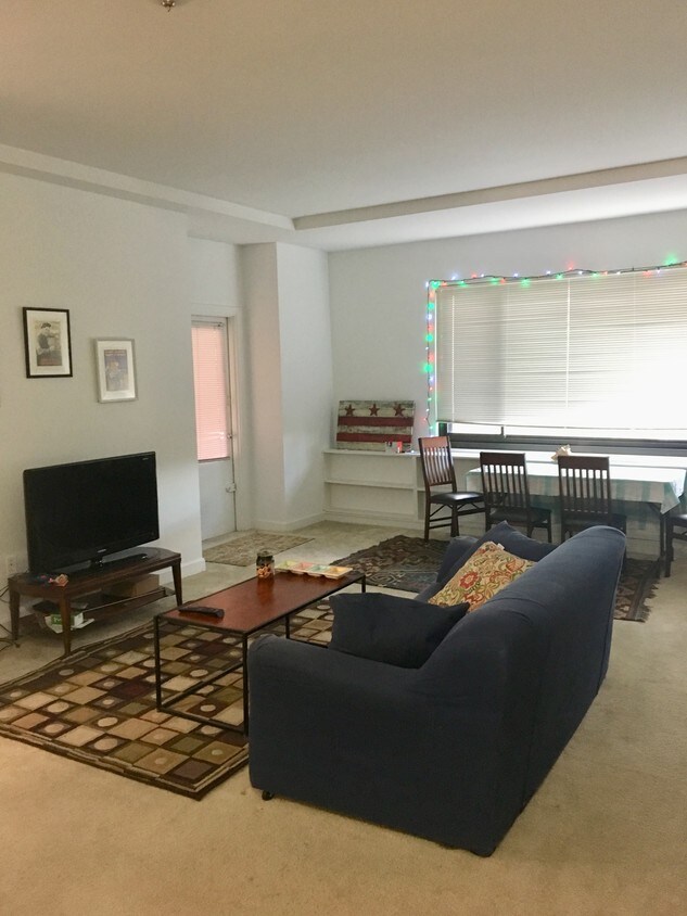 Very large and spacious living room - 1011 Arlington Blvd