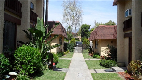 Building Photo - Pine Street Apartments