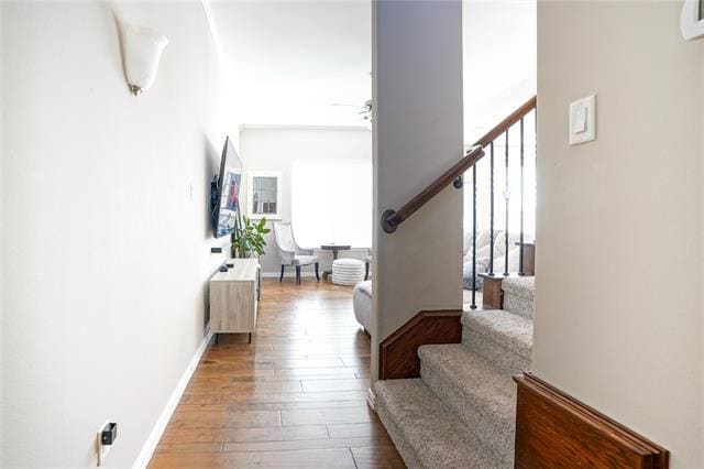 Foto del edificio - 4650 Penelope Ln