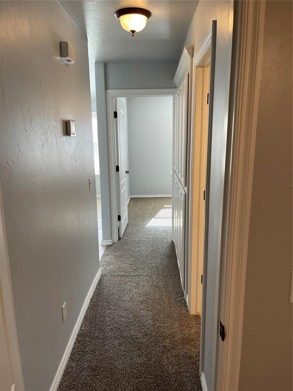 Foto del edificio - 11166 Stone Ridge Ln
