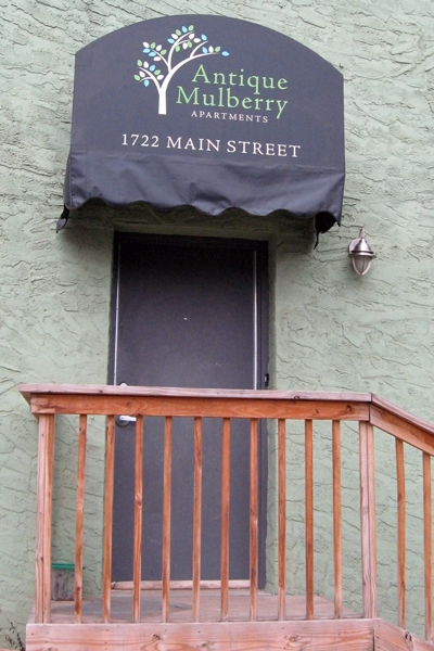 Building Photo - Antique Mulberry Apartments