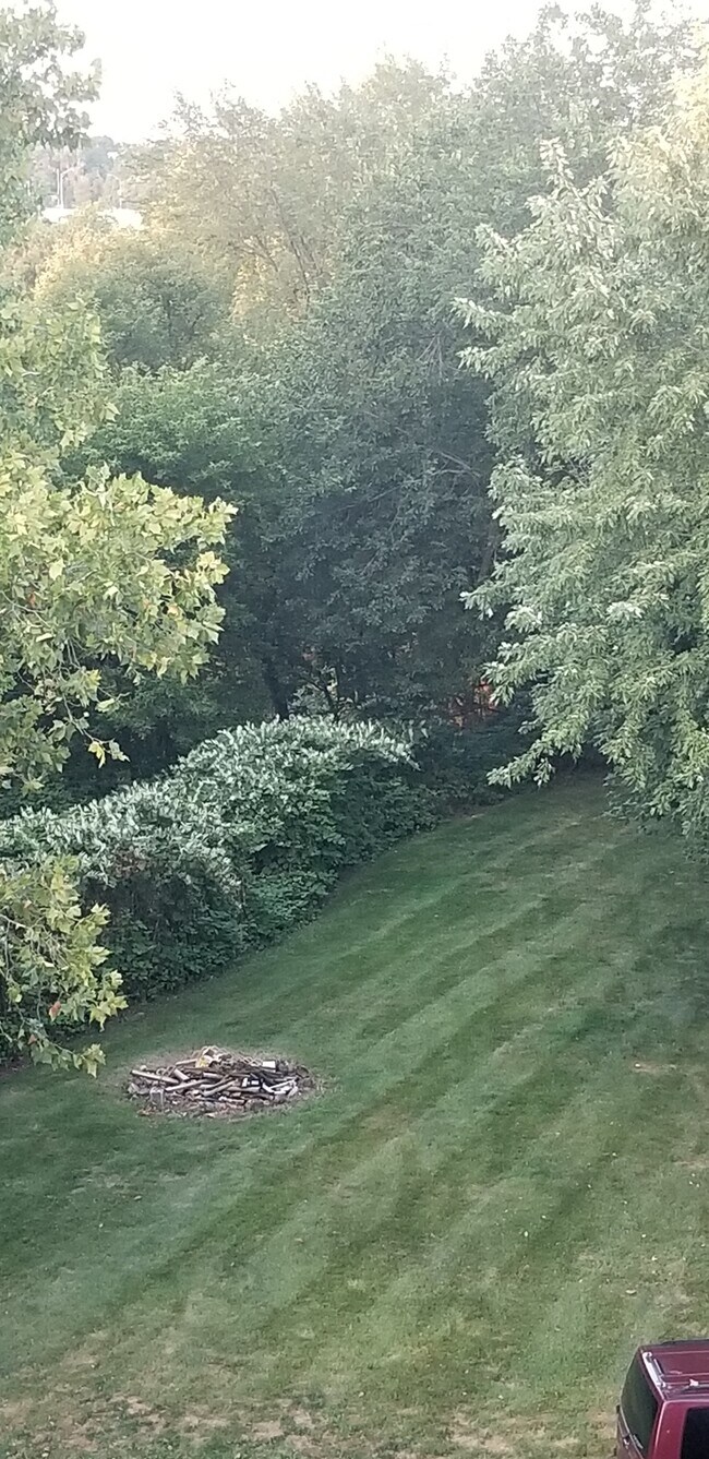 Backyard with fire pit - 277 Bluff St