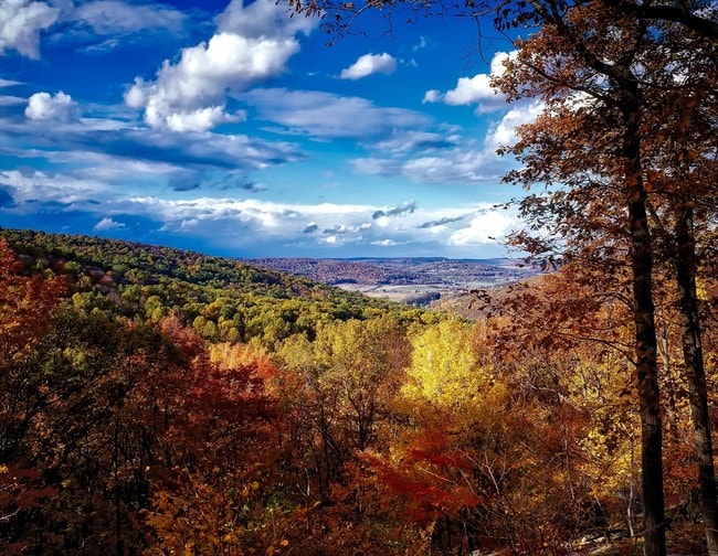 The Catocin Mountains near Frederick