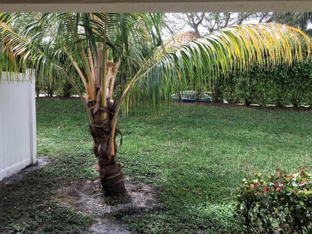 Building Photo - 6791 Lantern Key Dr