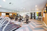 Located in San Leandro, CA, this fitness center is a thoughtfully designed, single-level space that offers a comprehensive workout environment. The interior is defined by a striking herringbone-patterned carpet in neutral tones accented with blue, lending a modern and dynamic aesthetic throughout.

The cardio zone is anchored by multiple treadmills positioned along large windows that overlook a lush outdoor area, providing natural light and scenic greenery views during workouts. Nearby, a dedicated cycling area features a row of spin bikes arranged for group or individual sessions, complemented by a wall-mounted flat-screen TV — ideal for guided classes or entertainment.

A full cable and multi-functional strength machine anchors the strength training section, accompanied by a well-stocked dumbbell rack ranging across various weights. Stability and functional training accessories, including medicine balls, stability balls, and resistance bands, are neatly organized along the walls.

A floor-to-ceiling mirror spans one wall, enhancing the sense of openness and allowing users to monitor their form. The warm wood slat accent wall adds a sophisticated architectural contrast to the crisp white ceiling fitted with recessed lighting. Natural light streams in through multiple windows, creating a bright and energizing atmosphere ideal for a productive workout.
