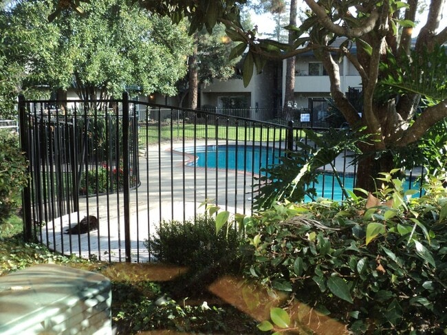 Building Photo - 1731 Ellis St