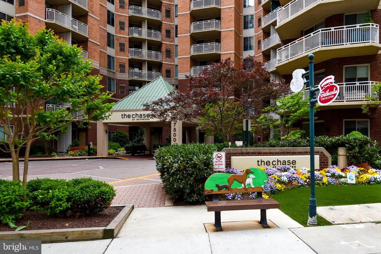 7500 Woodmont Ave Unit S311, Bethesda, MD 20814 Room for Rent in