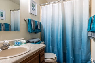 Forest Village photo'