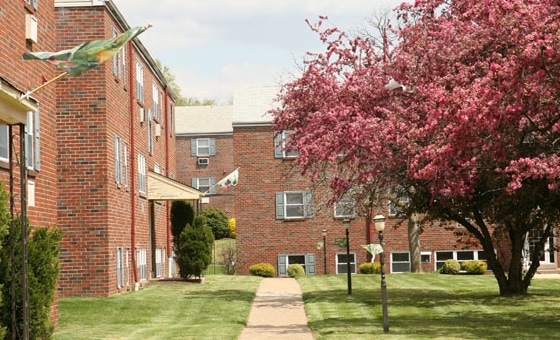 Rosedale Court - Rosedale Court Apartments
