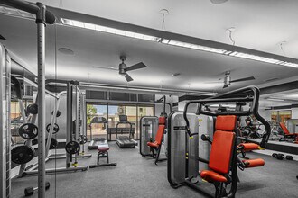 Gym - Maple at Med Center