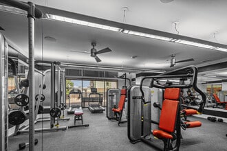 Gym - Maple at Med Center