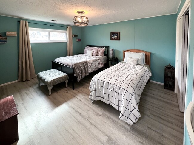 Building Photo - Cozy Basment/Lower Level Apartment