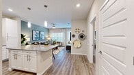 Located in Apopka, Florida, this well-appointed one-bedroom, one-bathroom residence offers a cohesive open-concept layout that maximizes every inch of its comfortable footprint. The kitchen is a standout feature, showcasing crisp white shaker cabinetry, gray quartz-style countertops, stainless steel appliances including a refrigerator, range, microwave, and dishwasher, and a central island with seating — perfect for casual dining or entertaining. Pendant lighting overhead adds a polished touch.

The kitchen flows seamlessly into the living area, which is bathed in natural light from large windows dressed with white blinds and sheer curtains. A soothing sage-green accent wall anchors the living space, complemented by wood-look luxury vinyl flooring that extends throughout the home and a ceiling fan overhead.

The bedroom is a serene retreat featuring a bold charcoal accent wall, ample natural light from a large window, and a ceiling fan. A dedicated closet provides convenient storage.

The bathroom offers a clean, elongated layout with white cabinetry, gray countertops, and the same warm wood-look flooring found throughout the residence. Every room reflects a modern, neutral palette that is both inviting and easy to personalize.