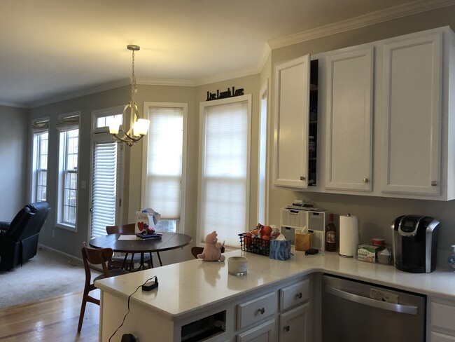 Cocina/zona de desayuno/sala de estar - 105 Dove St