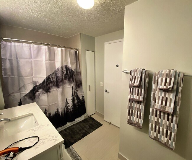 Foto del edificio - 1 br, 1 bath  - 545 N Dearborn St Apt 3408