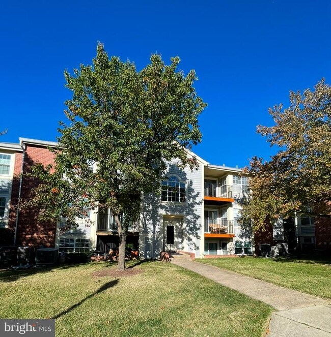 Building Photo - 109 Water Fountain Way
