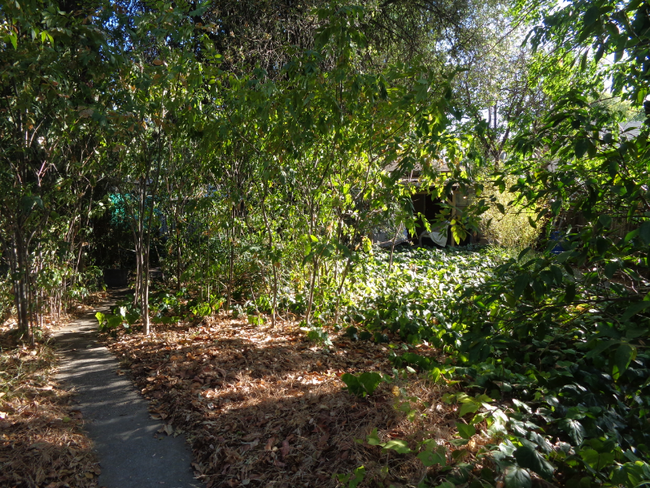 Building Photo - 2140 Canoas Garden Ave