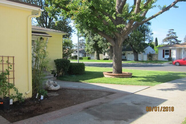 Building Photo - 10832 El Rey Dr