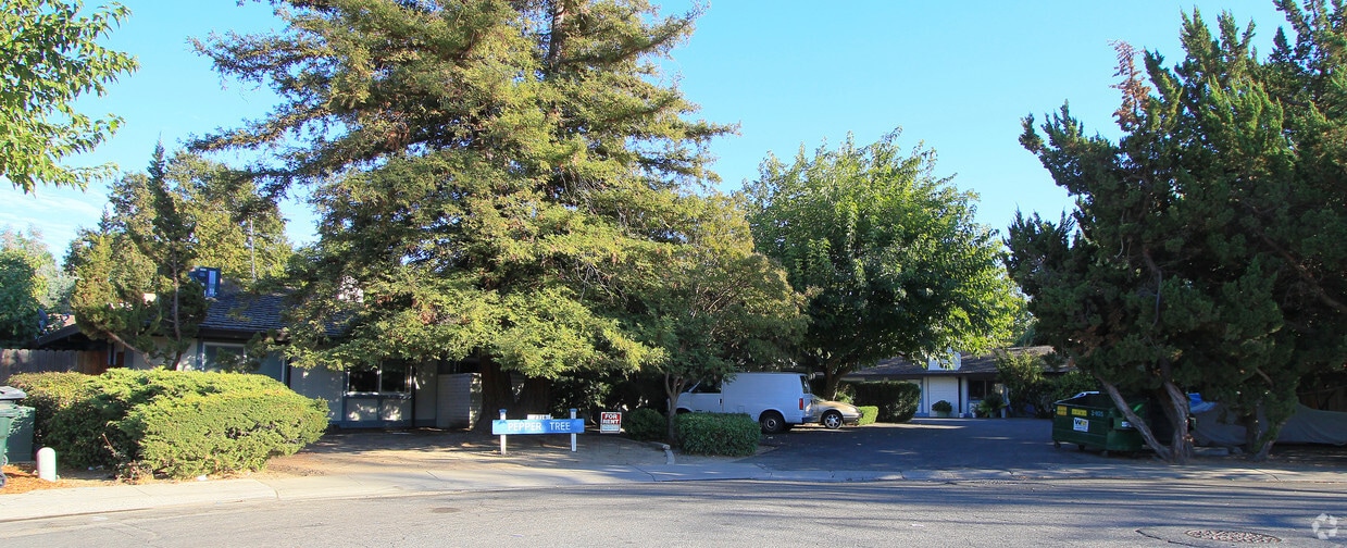 Primary Photo - Peppertree