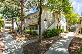 Building Photo - 3168 Tarpon