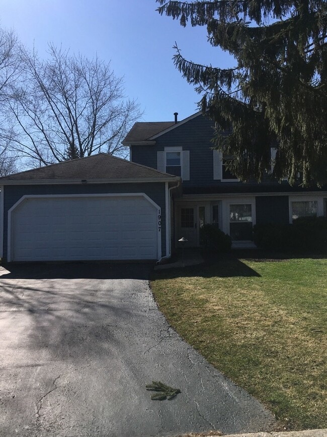 Building Photo - 1907 Appaloosa Dr