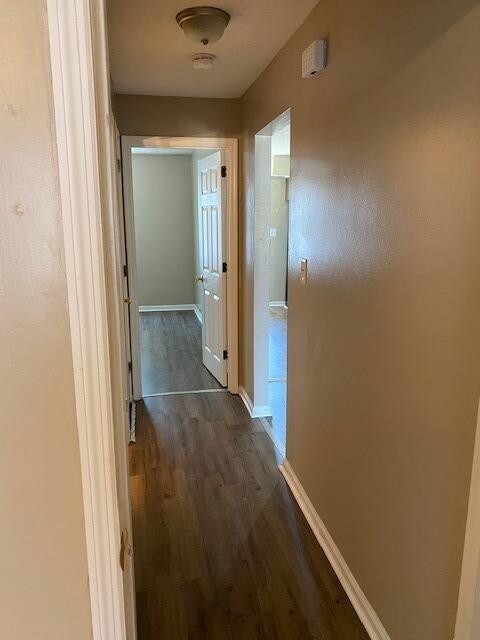 Building Photo - 2908 Winter Garden Dr