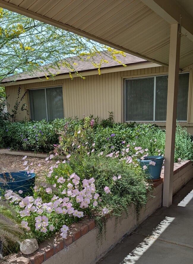 Foto del edificio - 4344 W Sandra Cir