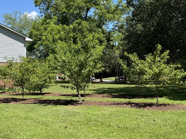 Building Photo - The Orchard Apartment Homes