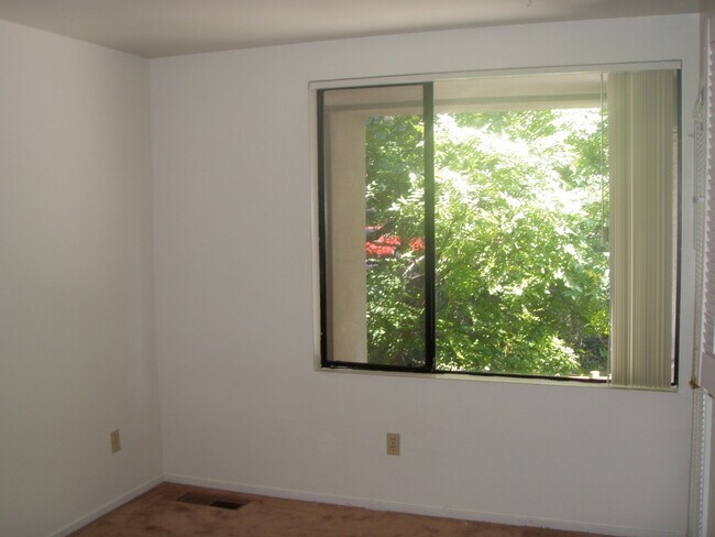 Foto del edificio - 651 Brizzolara #2