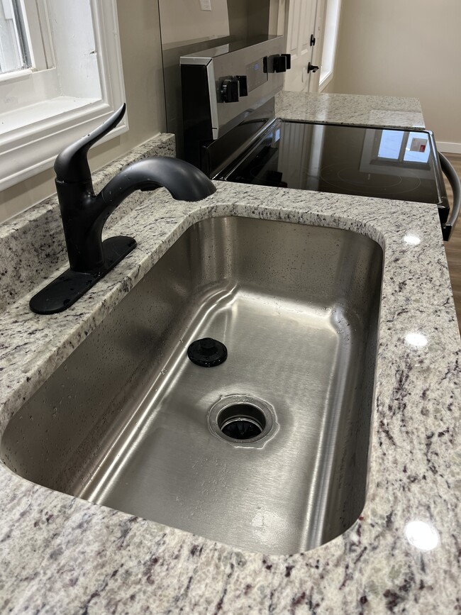 Kitchen sink - 2741 Jones Ave