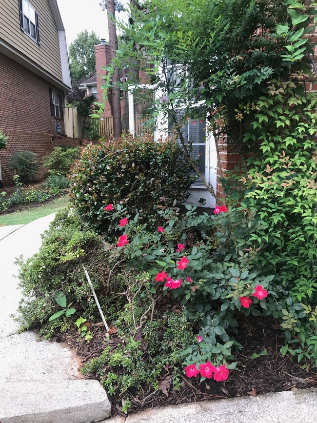 Landscaped garden entryway. - 107 Swanton Hill Ct