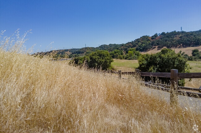 Los Altos Hills is filled with many different nature preserves.