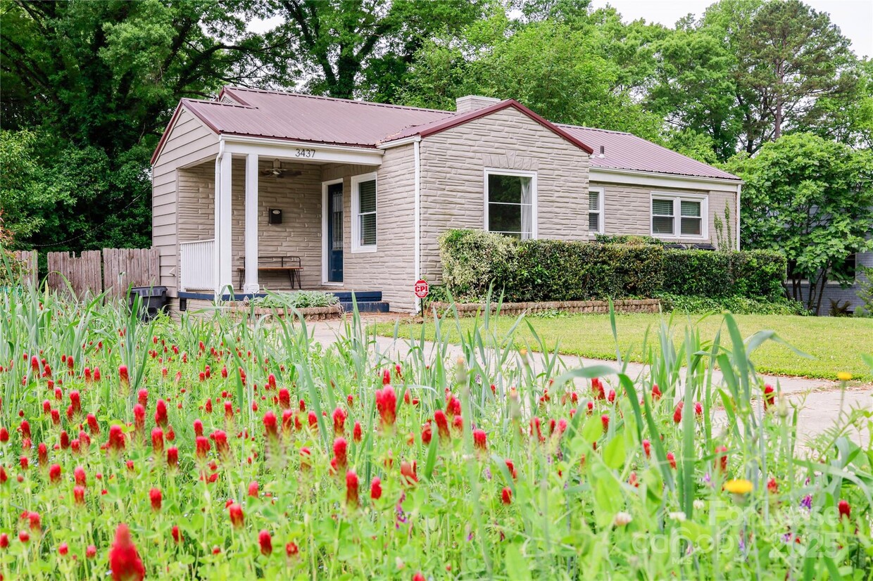Primary Photo - 3437 Airlie St