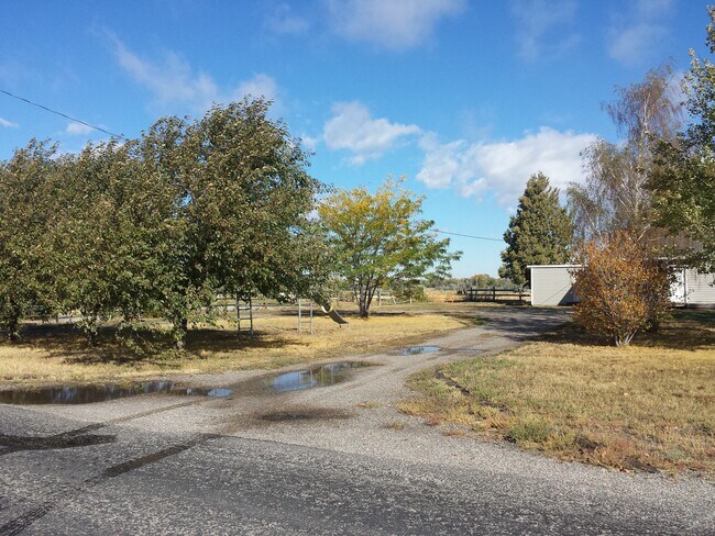front yard - 138 E 400 N