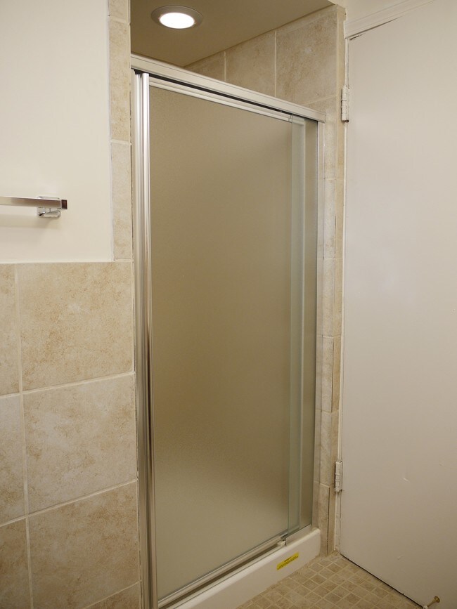 Beautiful Shower - 909 S Laflin St