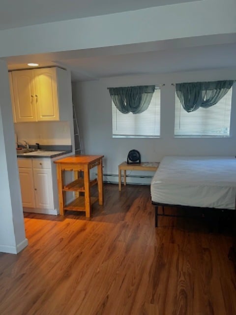 Large studio, galley kitchen, new floors, paint - 8 Bunny Ln