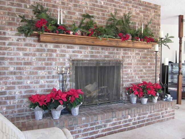 Fireplace - 155 Abbey Fields Ln