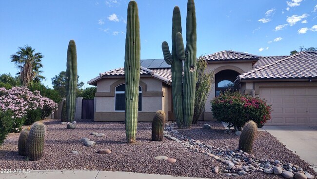 Foto del edificio - 857 N Hillridge