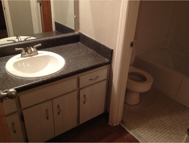 Bathroom - Burt Reynolds Complex