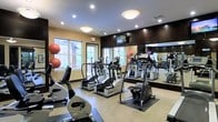 This fitness center is thoughtfully designed to support a well-rounded workout experience. The space is outfitted with a comprehensive selection of cardio equipment, including elliptical trainers, stair climbers, and stationary bikes — several of which are True Fitness brand machines, known for their commercial-grade quality. A wall of floor-to-ceiling mirrors lines one side of the room, effectively expanding the sense of space and allowing users to monitor their form during exercise. A flat-screen television is mounted above the mirror wall, providing entertainment during workouts. The flooring features rubberized exercise mats beneath the equipment, offering both traction and impact absorption. Soft, warm-toned walls are complemented by recessed lighting and flush-mount ceiling fixtures, creating a well-lit and inviting atmosphere. Multiple windows along the exterior wall allow natural light to fill the room and offer views of the surrounding outdoor area. Exercise balls and additional accessories are neatly stored near the windows, adding functional versatility to the space. The overall layout is organized and spacious, providing ample room to move freely between stations.