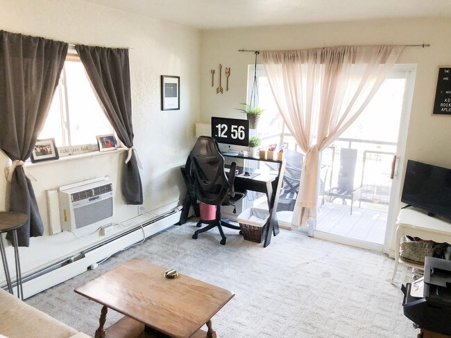 Bedroom 1 - 1045 N Clarkson St Apartment