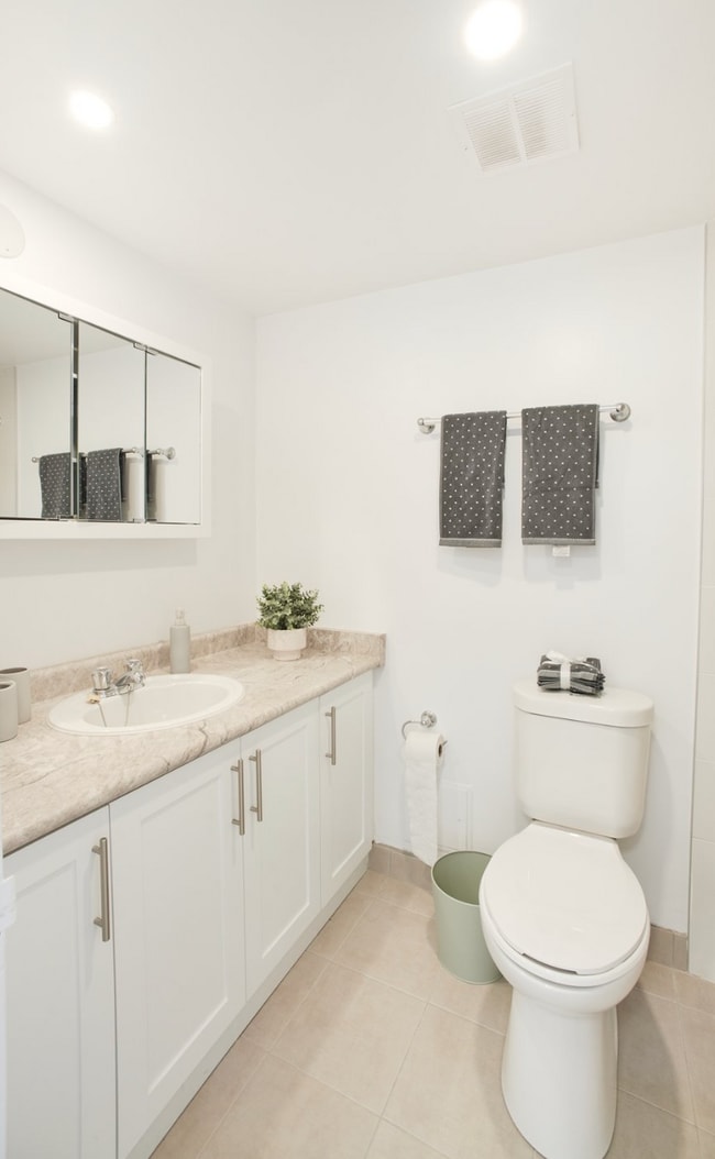 Building Photo - 1BD - FULLY RENOVATED  WITH AC -  PRIME ETOBICOKE