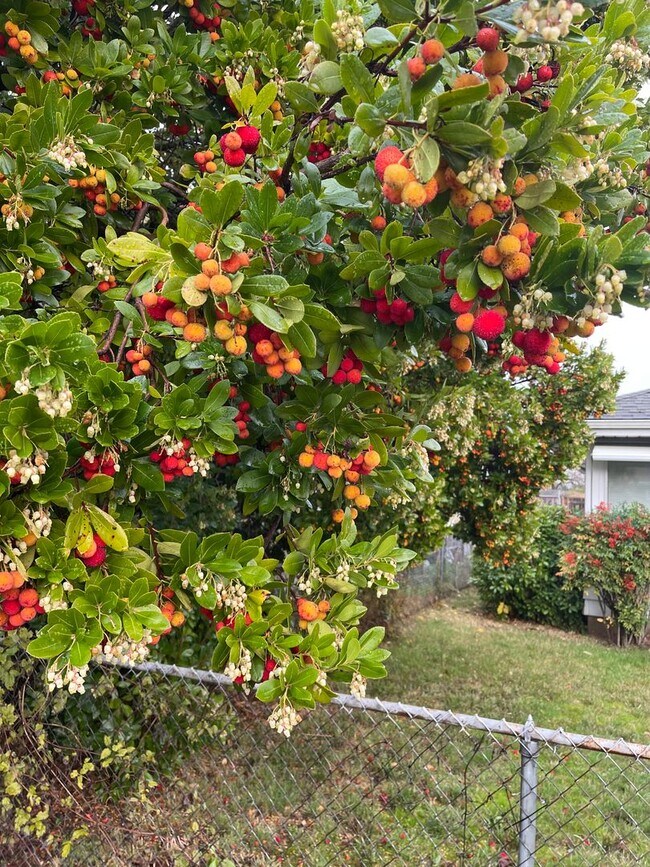 Foto del edificio - 4424 SE 66th Ave