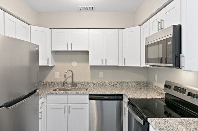 Interior Photo - Stony on Van Dyke