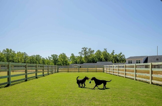 Building Photo - Cottages at Dawsonville