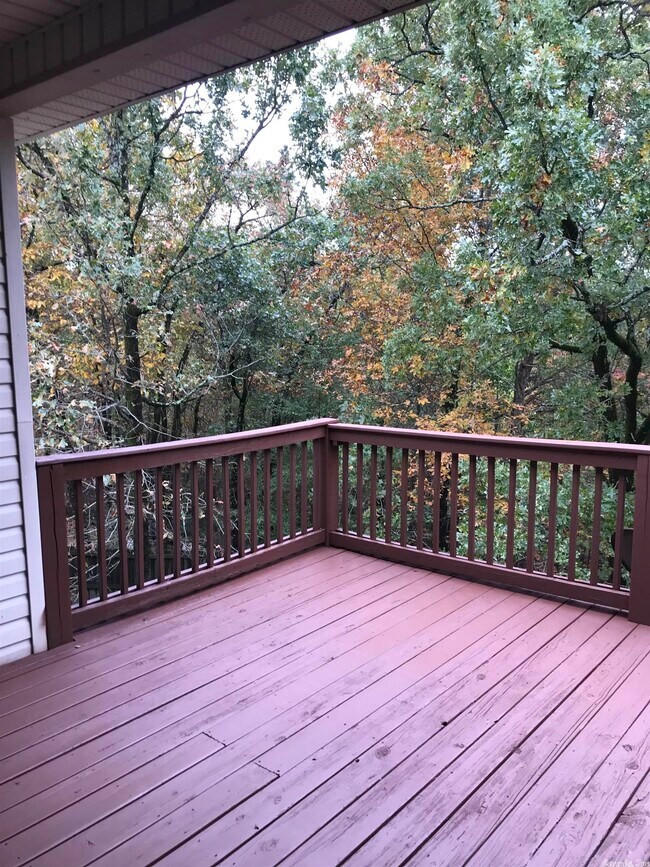 1032 Skyline Dr, Alexander, AR 72002 House Rental in Alexander, AR