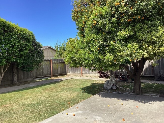 Building Photo - Single Level Home in Watsonville